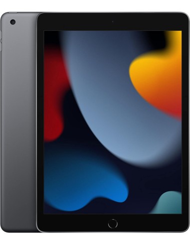 iPad 9° gen. 64GB Wi-Fi + Cellular Grigio Siderale Ricondizionato Grado A+
