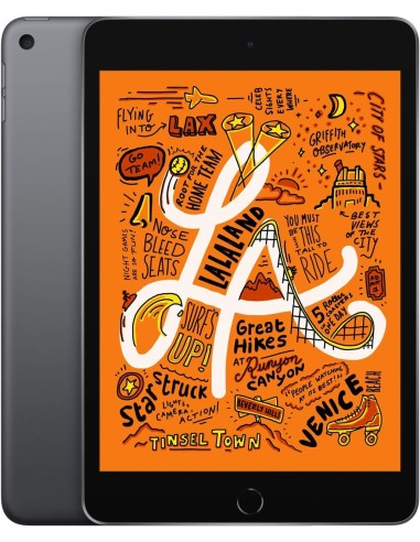iPad mini 5° gen. 256GB WI-FI Grigio Siderale Ricondizionato